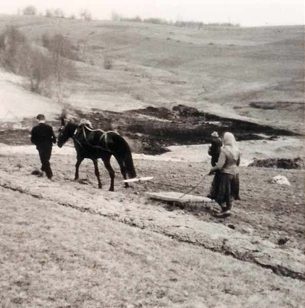 historisches Foto mit pflügendem Bauer auf dem Feld