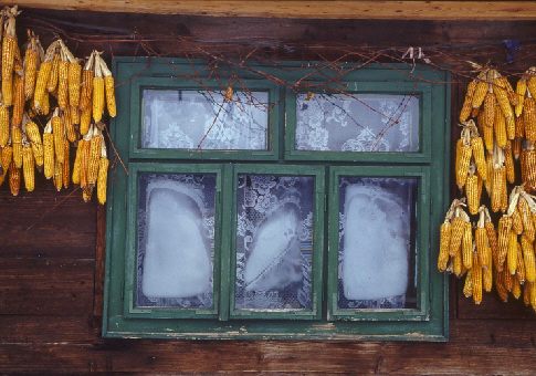 gefrorenes Fenster mit Mailkolben