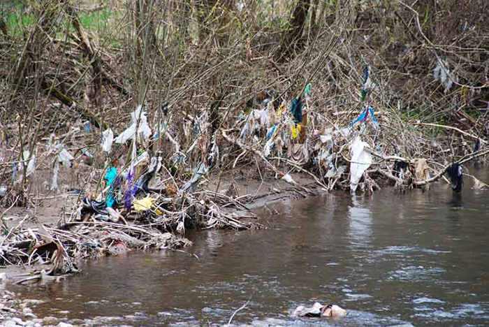 Müll in Ästen am Fluss hängend