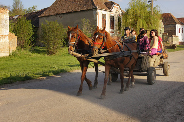 Pferdefuhrwerk auf einer Dorfstraße
