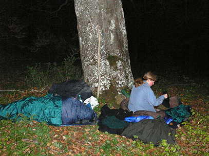 Menschen schlafen unter einem Baum