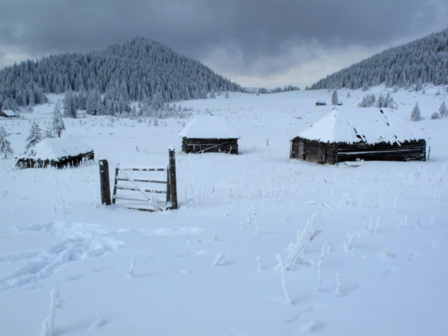 Schneelandschaft