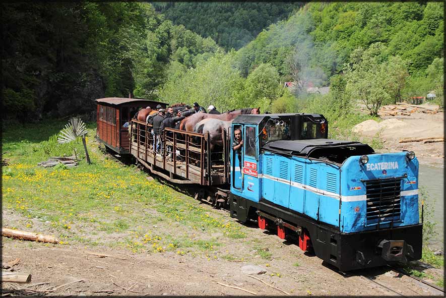 Zug fährt durch Tal