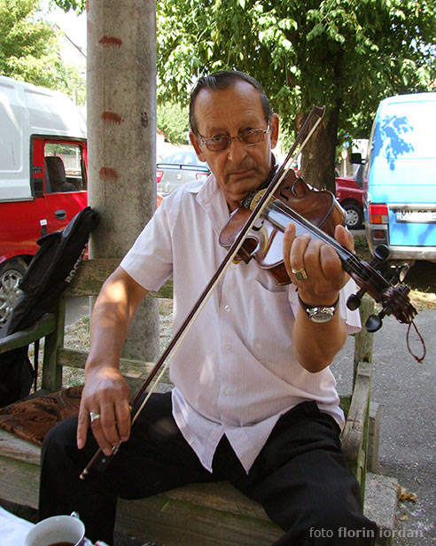 Musiker spielt auf einer Bank Geige