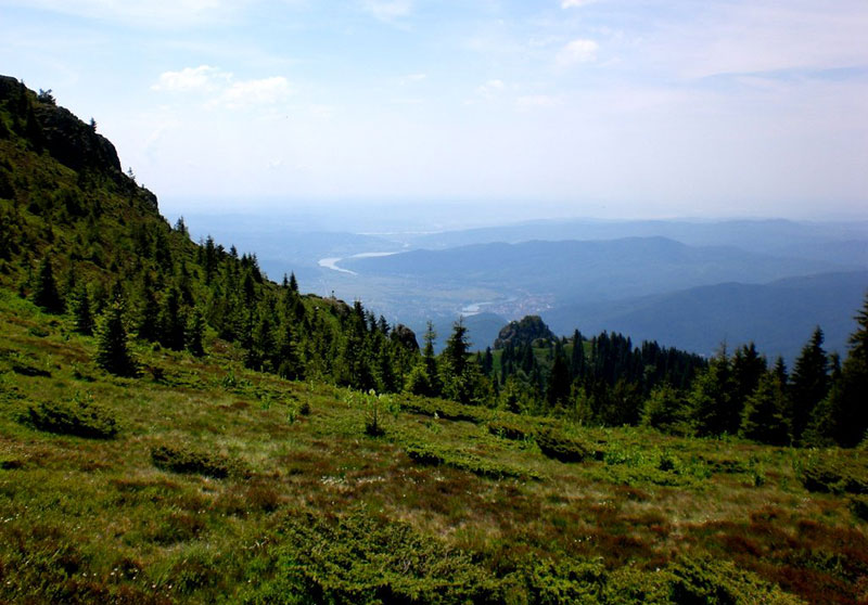 Bergwiese mit Olttal im Hintergrund