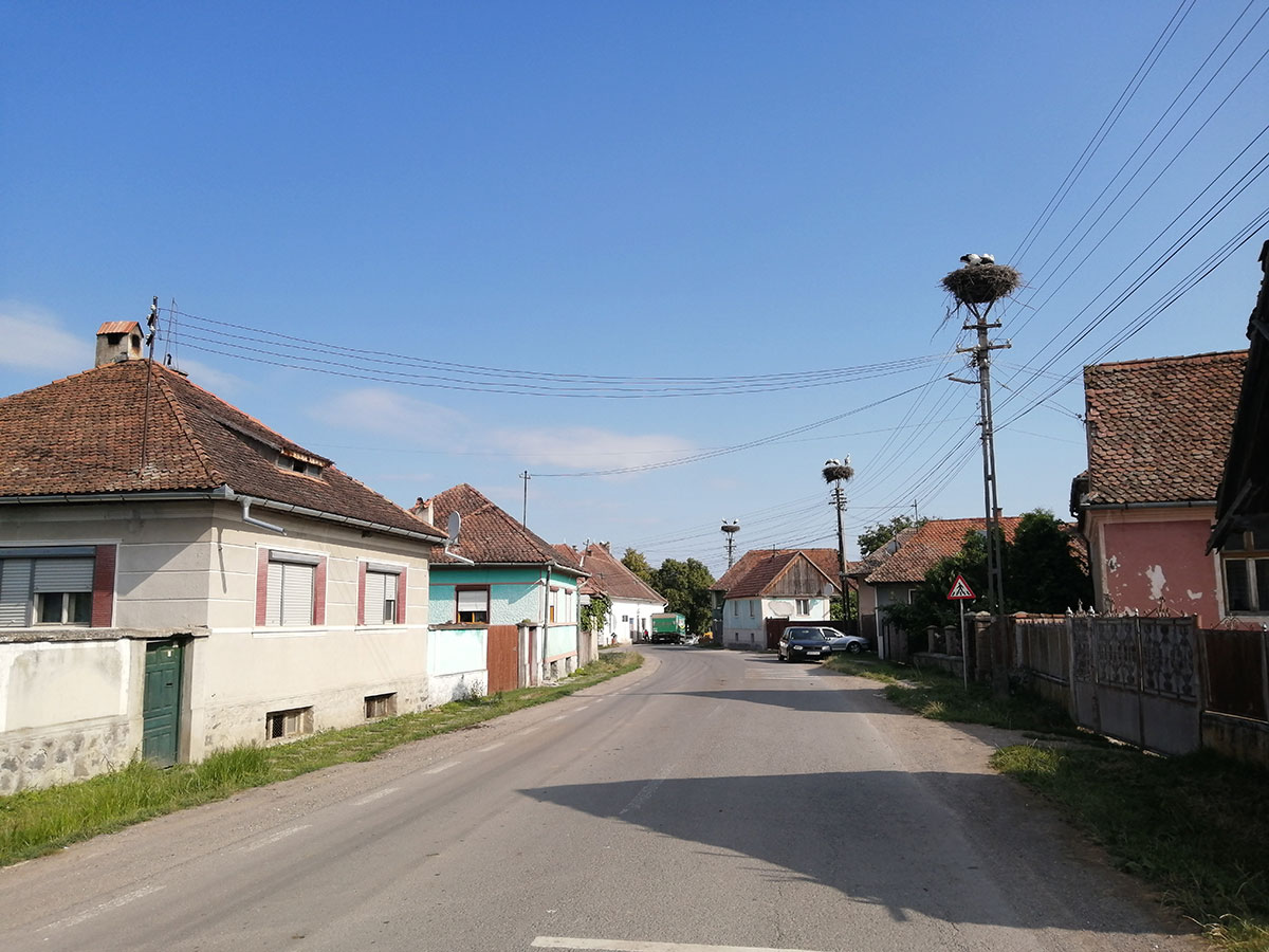 Dorfstraße mit Storchennestern