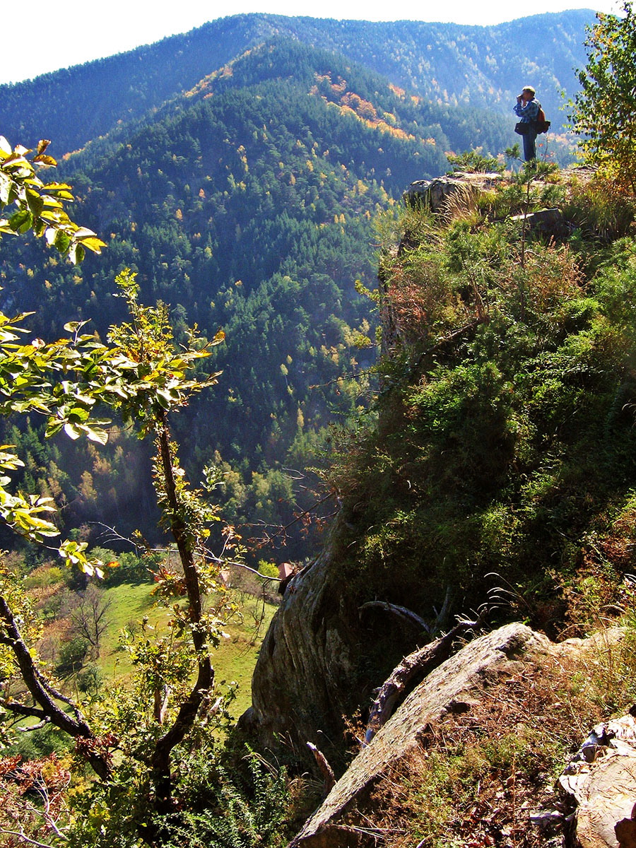 Mann steht an einem Felsvorsprung und fotografiert in ein bewaldetes Bergtal