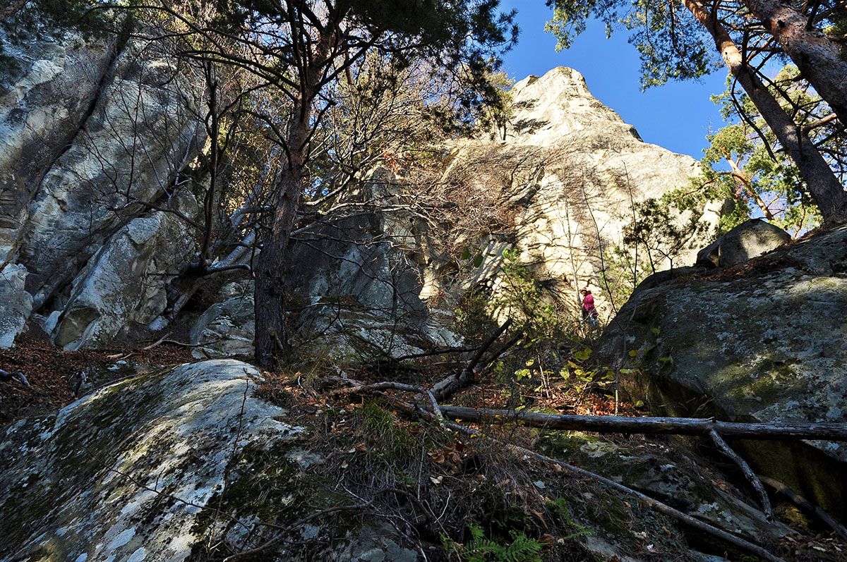 Frau steht zwischen Bäumen am Rande einer Felswand