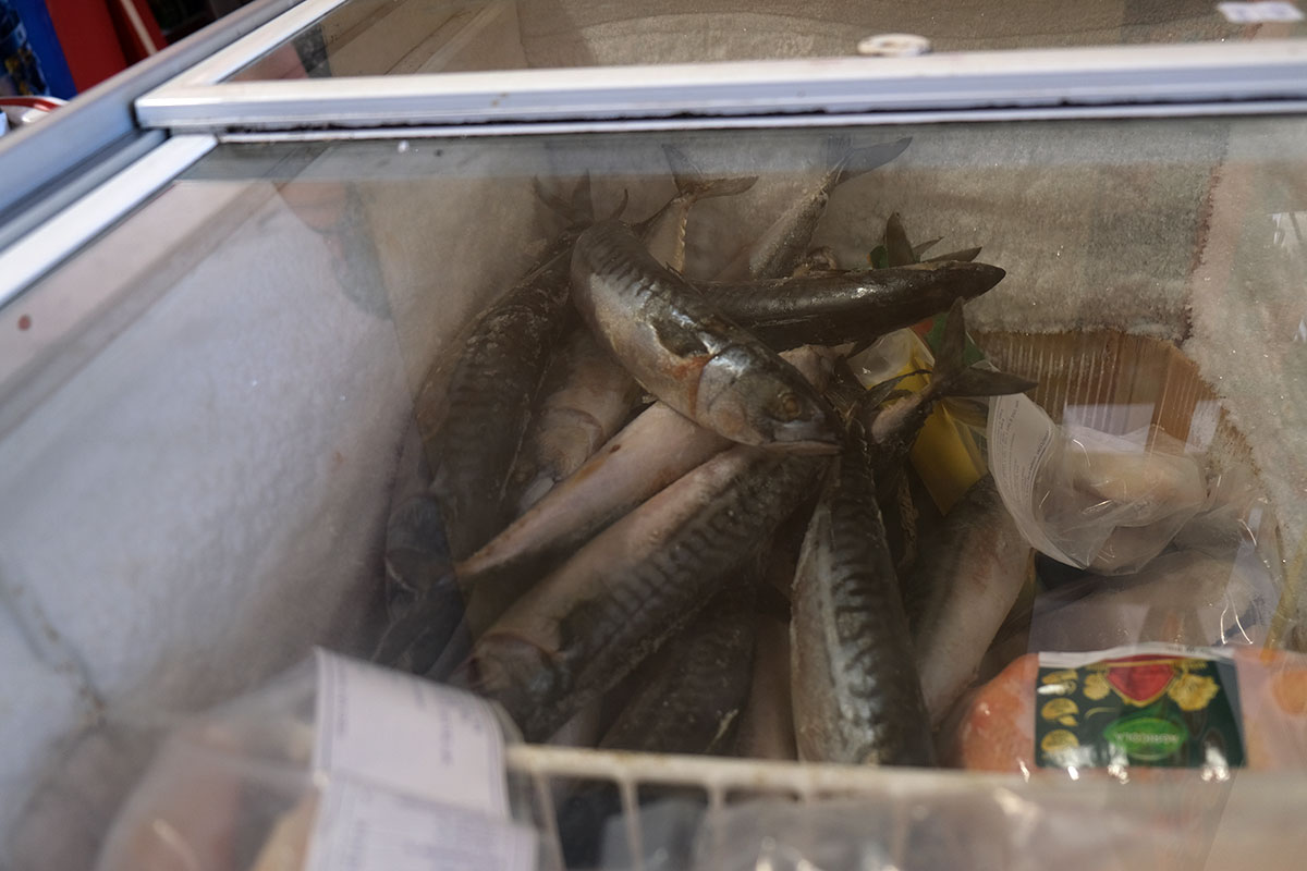 Kühltruhe im Geschäft mit losen Fischen