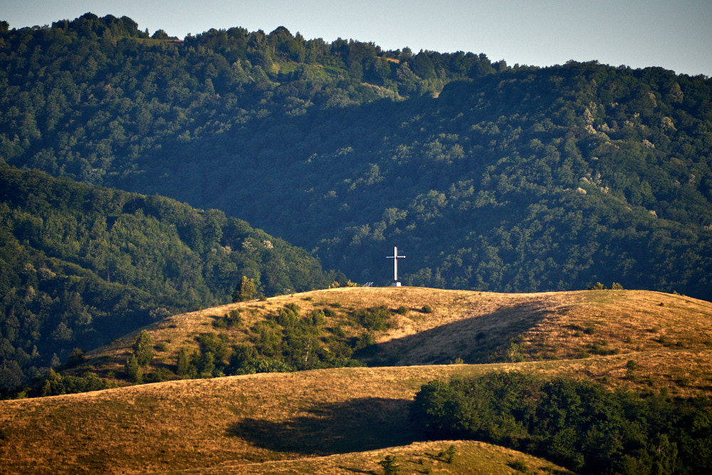 Kreut steht auf einer Bergkuppe vor bewaldeten Berghängen