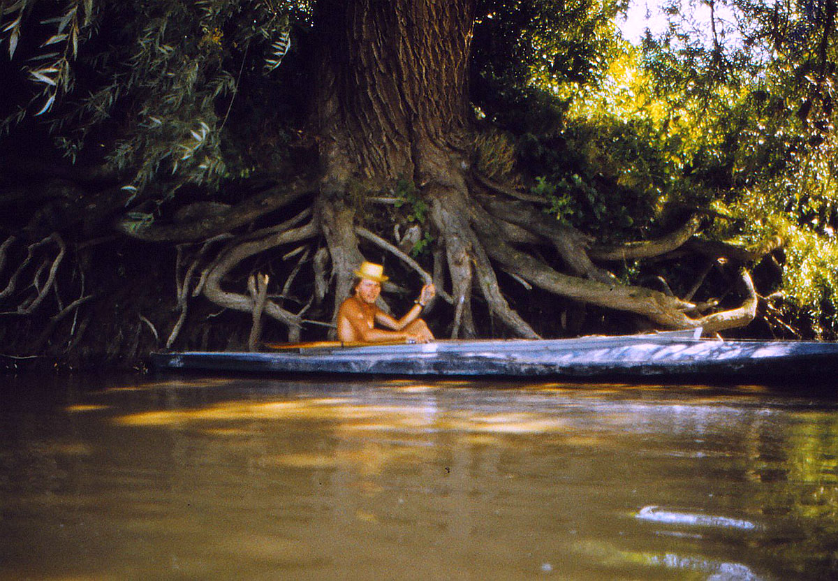 Paddler hält sich in seinem Kanu an einer Baumwurzel fest