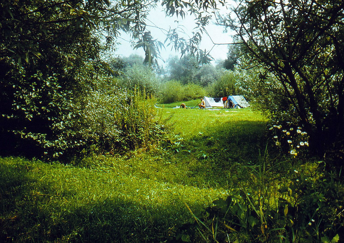 Zelte stehen auf einer Wiese zwischen Bäumen und Sträuchern