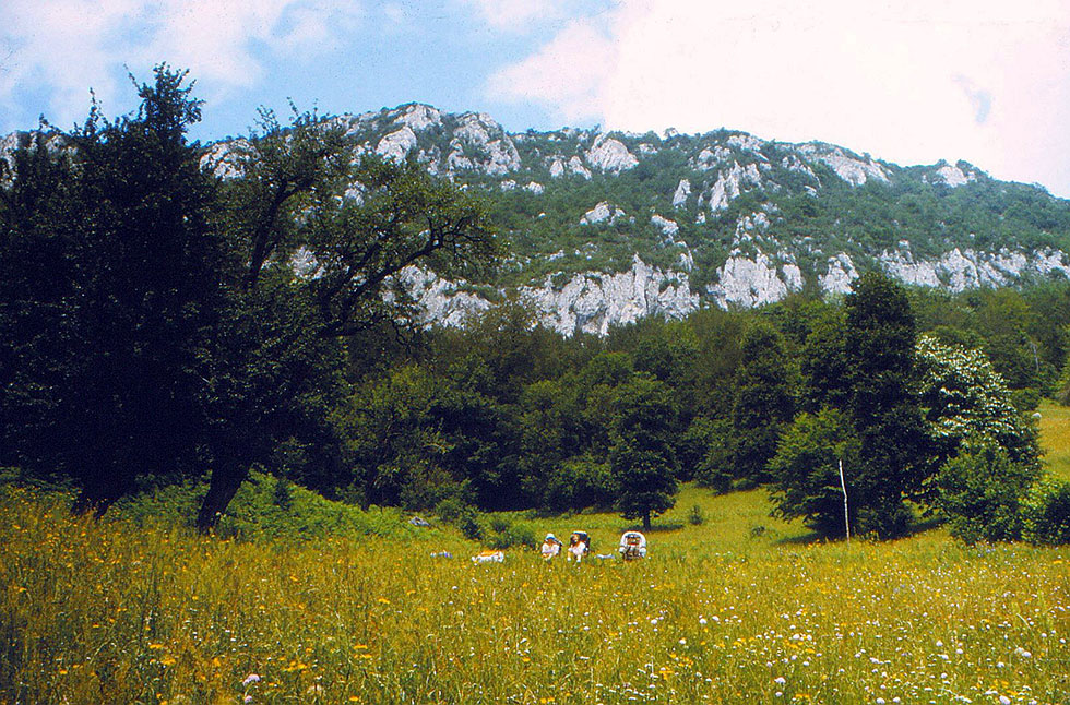 Wanderer sitzen auf Bergwiese