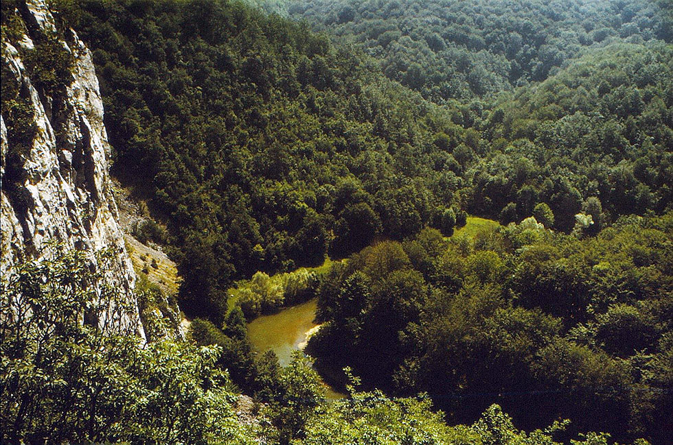 Berglandschaft mit Fluss