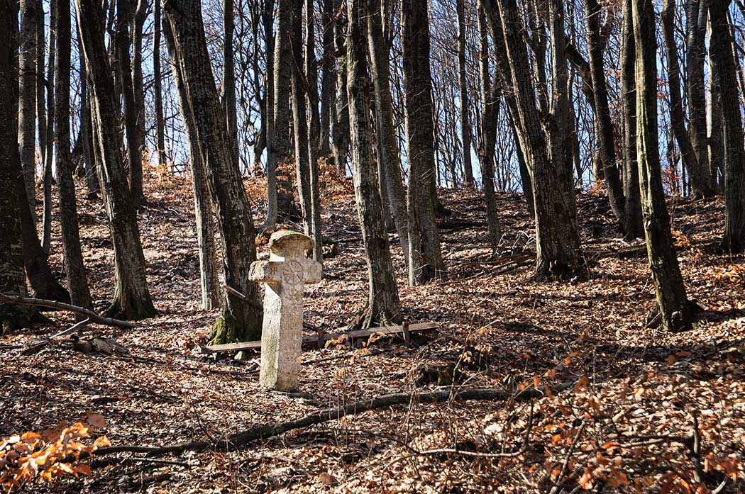 Kreuz im Wald