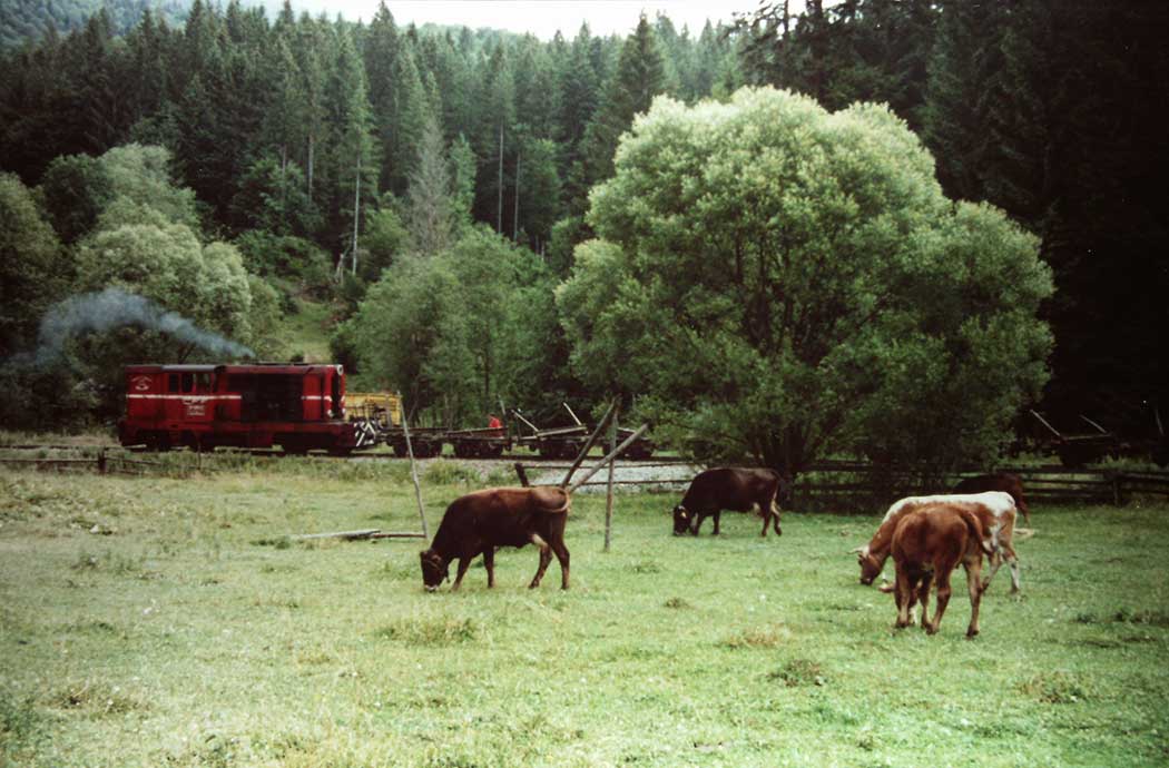Zugfahrt durchs Wassertal