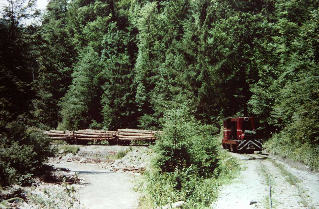 Zugfahrt durchs Wassertal