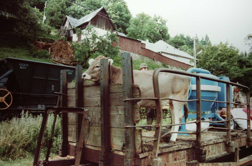 abgestellte Waggons im Bahnhof