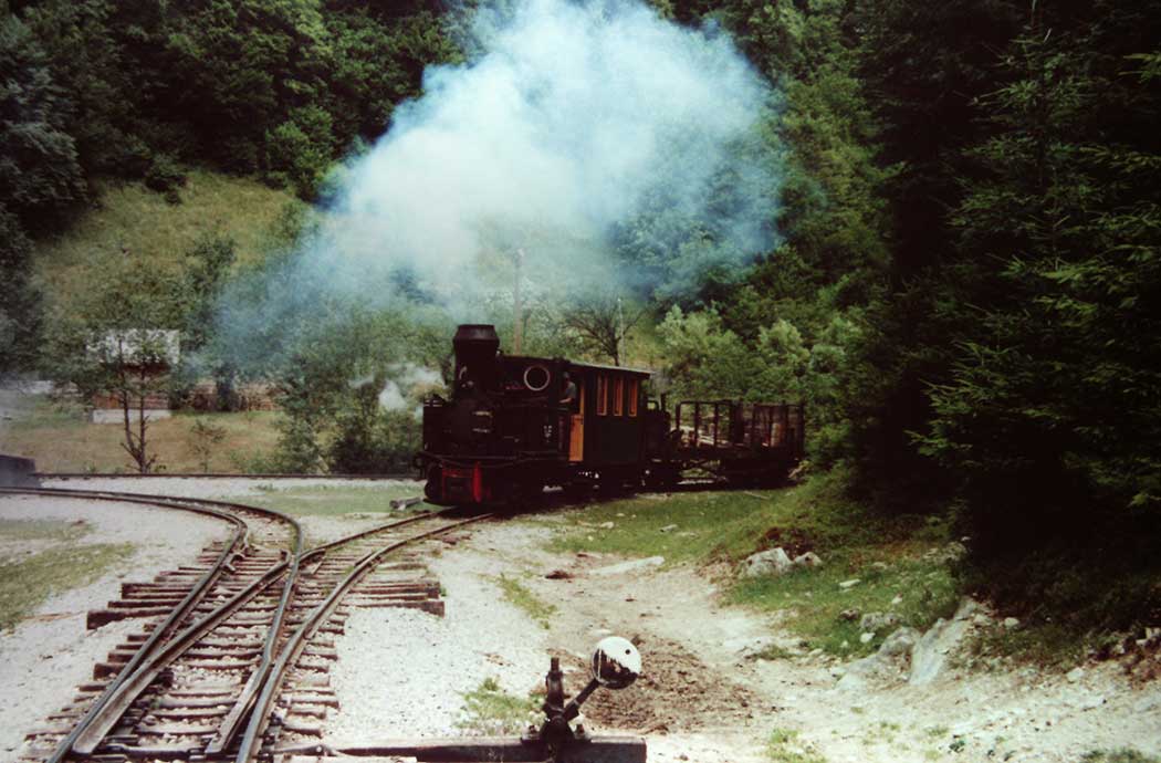 Dampflokfahrt durchs Wassertal