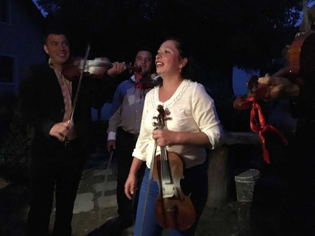 Frau mit einer Geige in der Hand