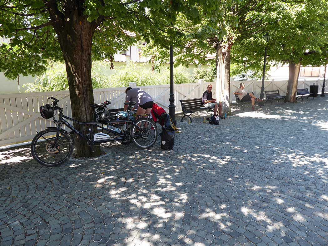 Tandem an einem Baum gelehnt