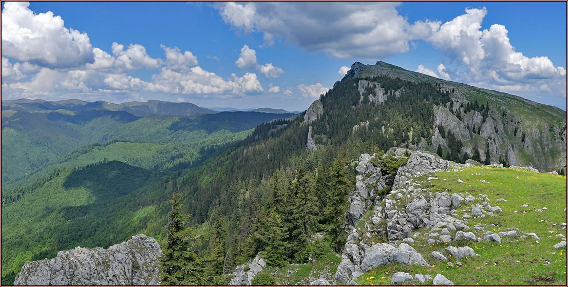 Bergwiese mit Felsgipfel