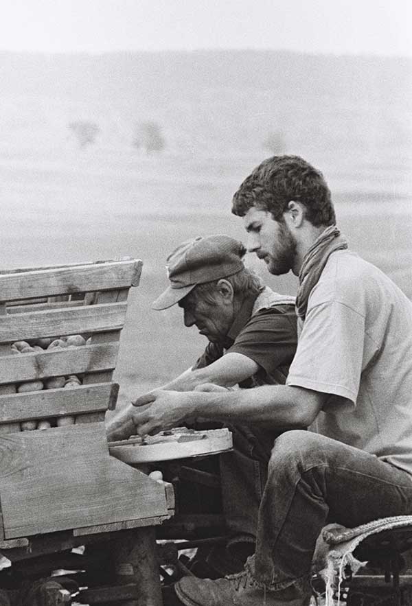Männer arbeiten im Feld