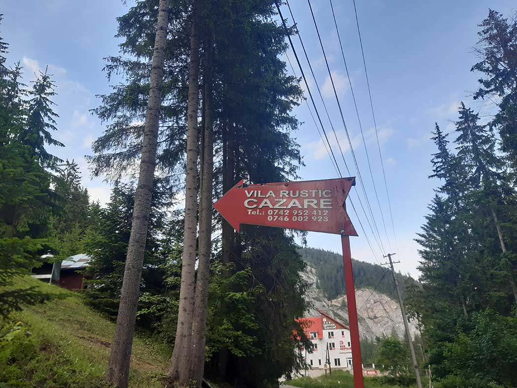 Hinweisschild neben einem Baum